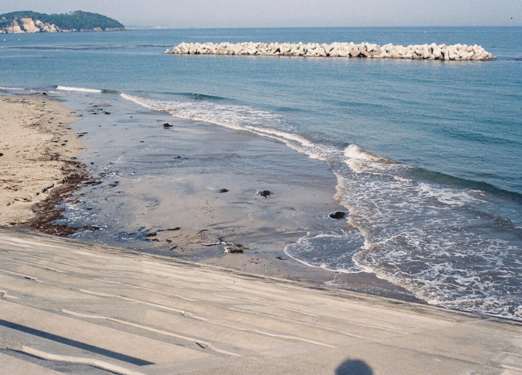 堤防から見た浜。手前の斜面に、細長い影
